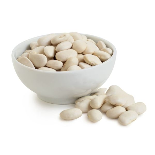 White Kidney bean White Kidney bean - Image 1